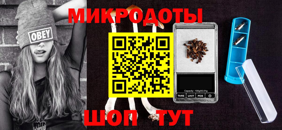 Псилоцибиновые грибы Psilocybe Валуйки